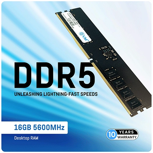 EVM 16GB 5600Mhz DDR5 RAM