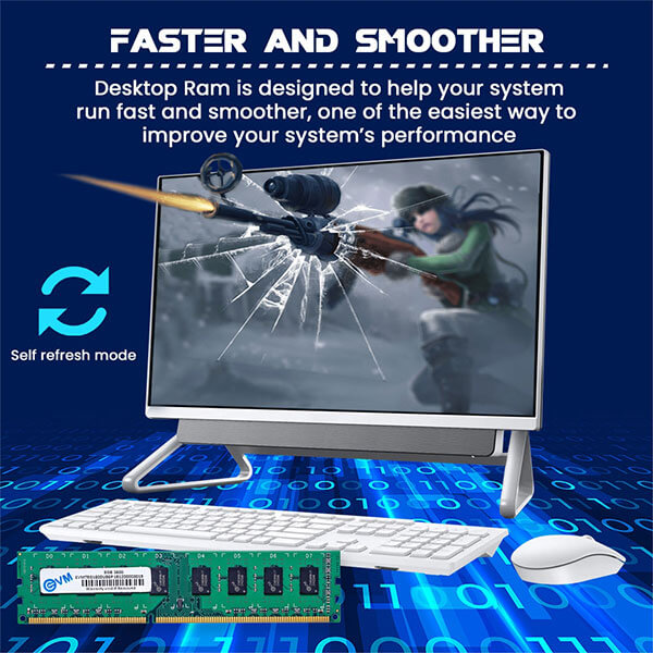 EVM 8GB (8GBx1) DDR3 1600MHz Desktop RAM