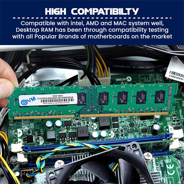 EVM 8GB (8GBx1) DDR3 1600MHz Desktop RAM