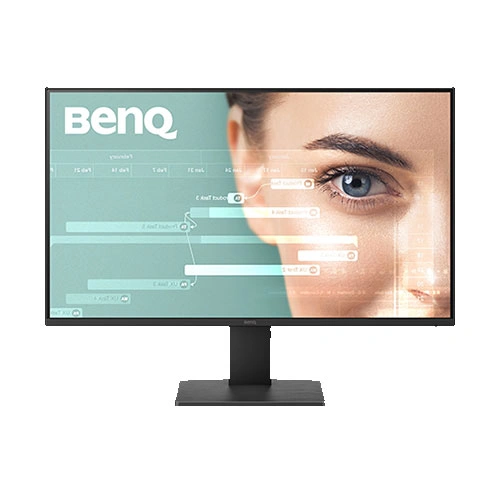 BenQ GW2491P 24 Inch Monitor