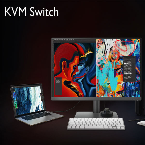 BenQ PD3205U 32 Inch Designer Monitor