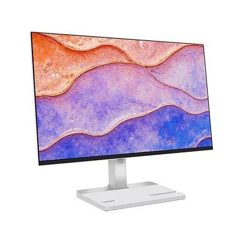Lenovo L24D-4C 24 Inch Monitor