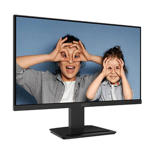 MSI Pro MP253 25 Inch Business Monitor