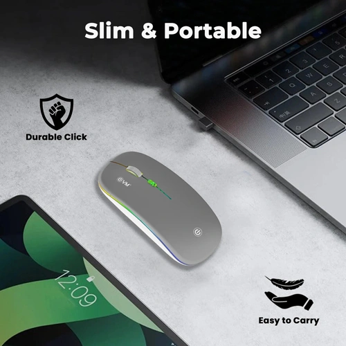 EVM EnGrip EWLM-360 Wireless Silver PC Mouse