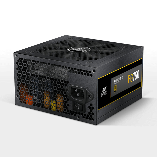 Ant Esports FG750 80 Plus Gold SMPS