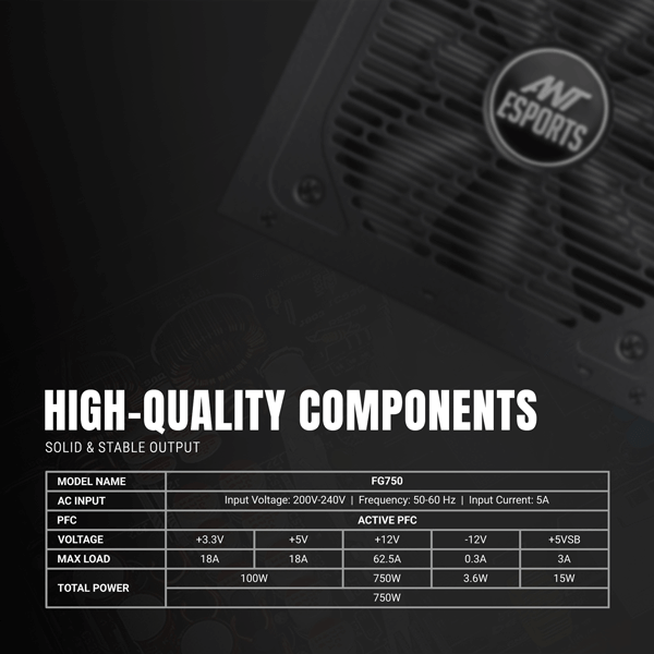 Ant Esports FG750 80 Plus Gold SMPS
