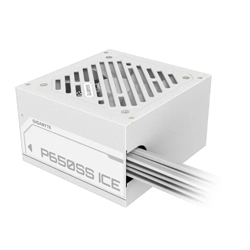 GIGABYTE P650SS Ice Silver ATX 3.0 SMPS