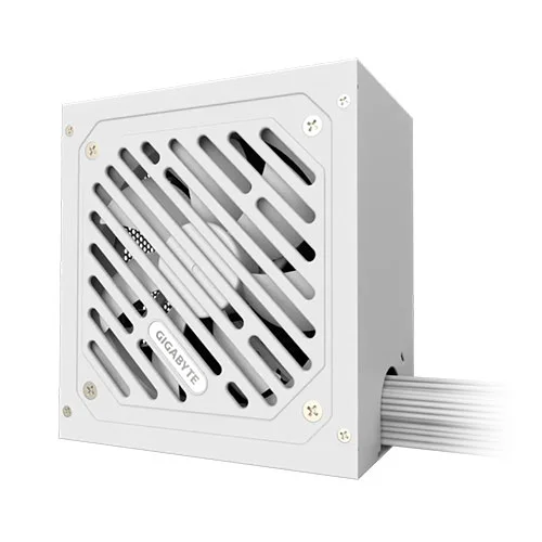 GIGABYTE P650SS Ice Silver ATX 3.0 SMPS