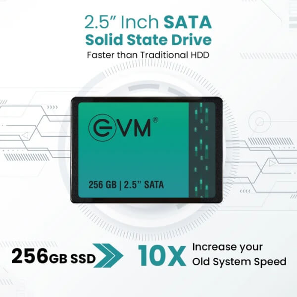 EVM 256GB SATA SSD