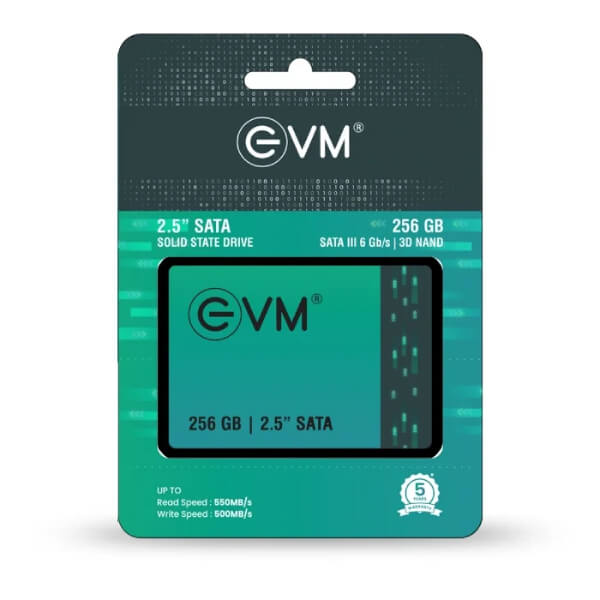 EVM 256GB SATA SSD