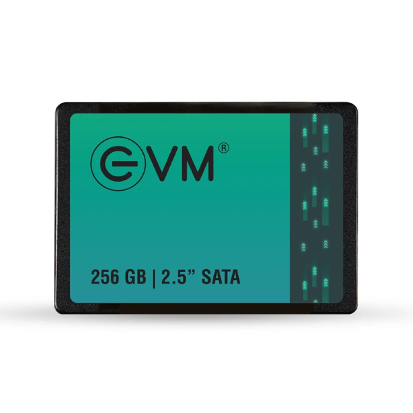 EVM 256GB SATA SSD