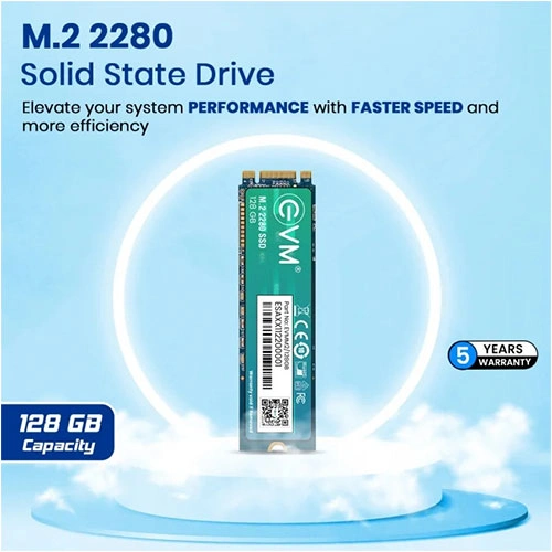 EVM 128GB M.2 Sata SSD