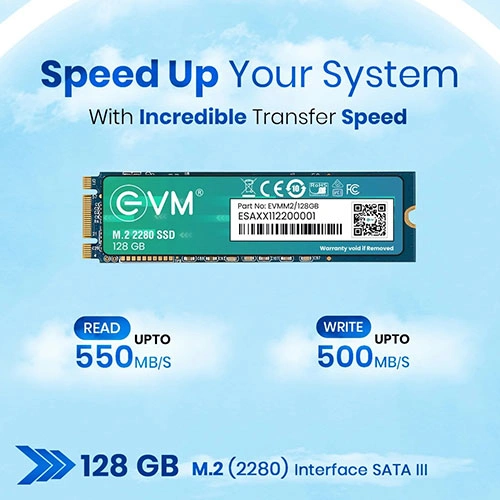 EVM 128GB M.2 Sata SSD