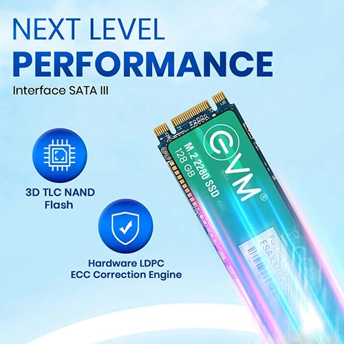 EVM 128GB M.2 Sata SSD