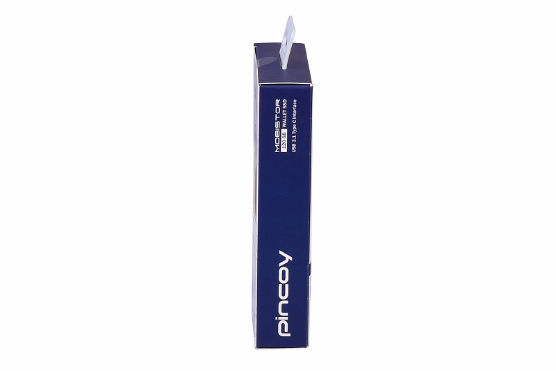 Pincoy MobiStor 120GB Wallet SSD