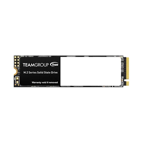 TeamGroup MS30 256GB Internal SSD